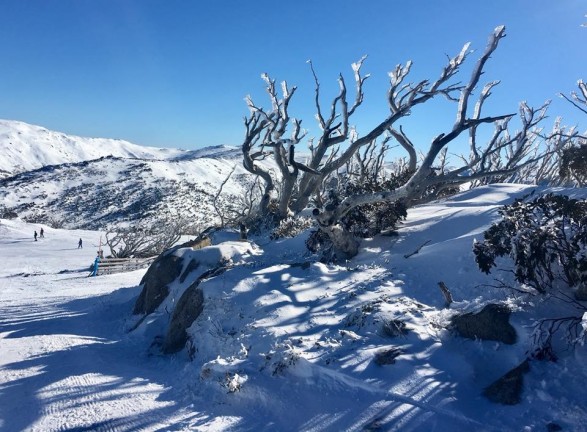 Perisher_early_season_perfect_conditions